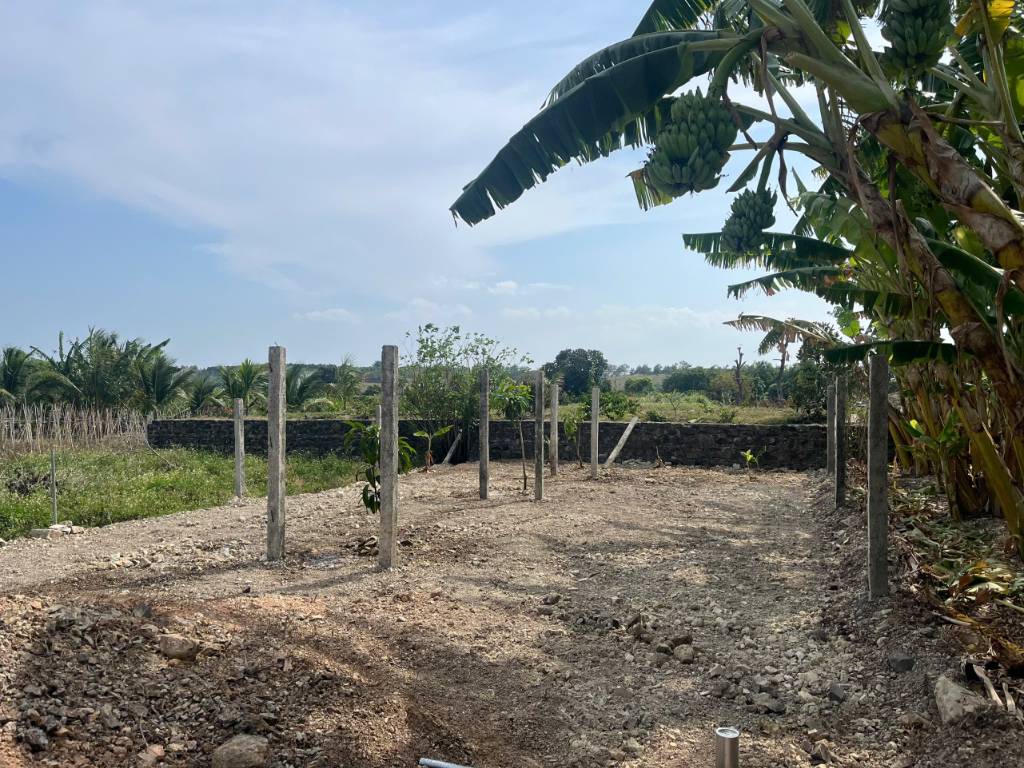 Bán bất động sản khác diện tích 3.017,5 m2 tại Hoà Thắng, Bắc Bình, Bình Thuận có nhiều cây xanh